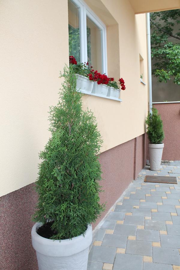 Royal Family Apartment Nis Bagian luar foto