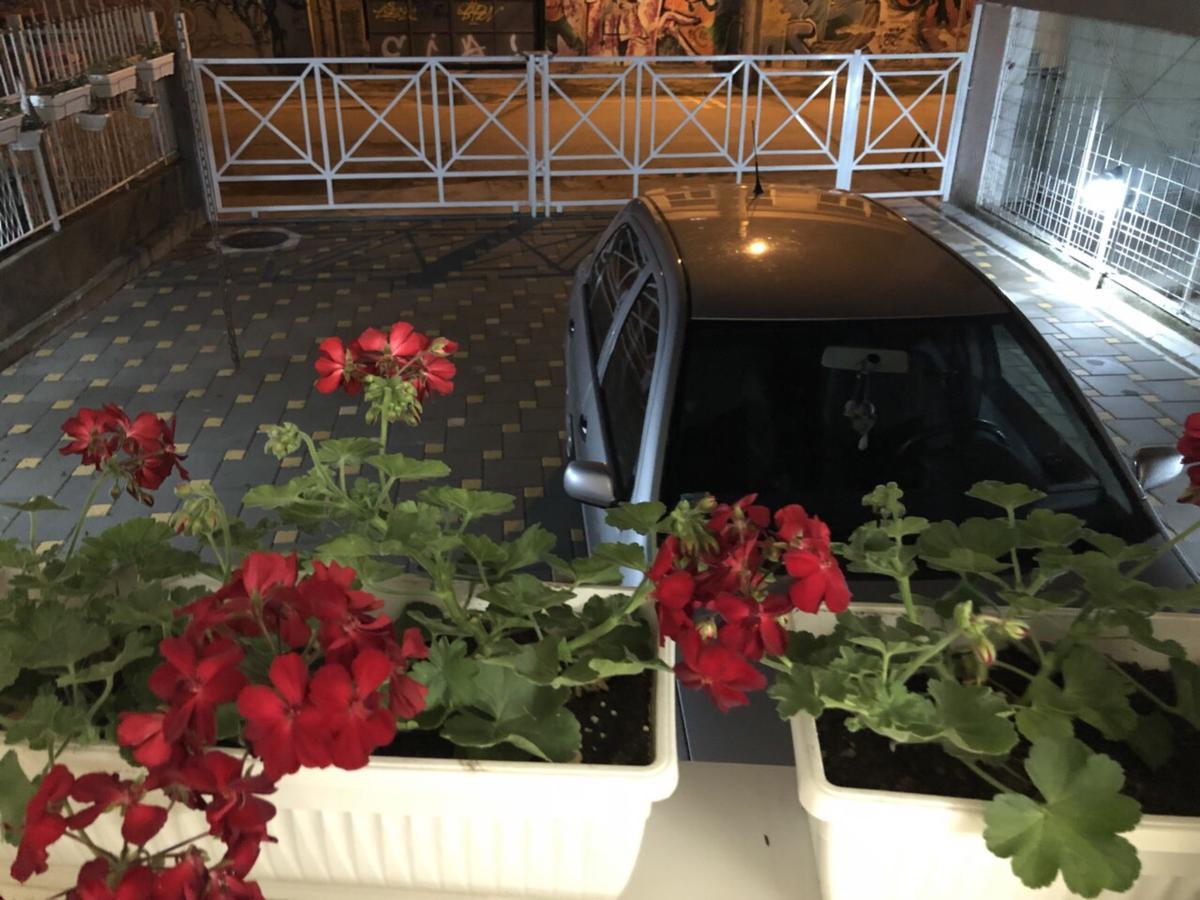 Royal Family Apartment Nis Bagian luar foto