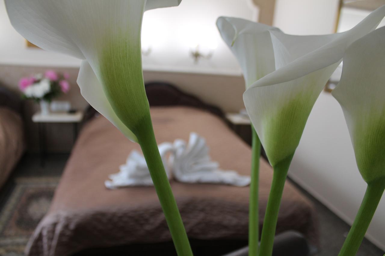 Royal Family Apartment Nis Bagian luar foto